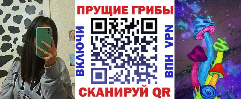 Галлюциногенные грибы MAGIC MUSHROOMS  как найти закладки  Онега 